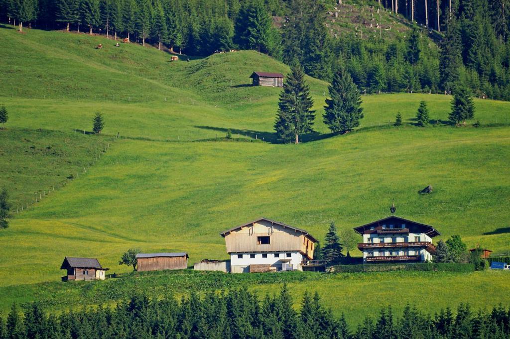 Ferienhaus Hochwimmer Холлерсбах  Экстерьер фото